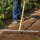 Rake to seedbed