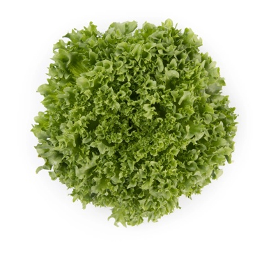 Crystal lettuce Lalique RZ