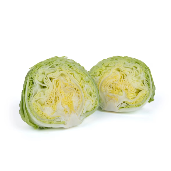 Iceberg lettuce Balokanas RZ Knox ™