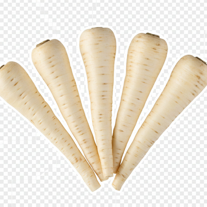 Palsternacka