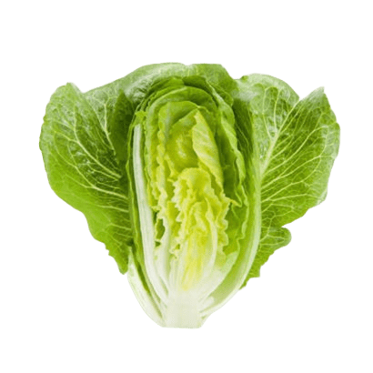 Crunchitasallat