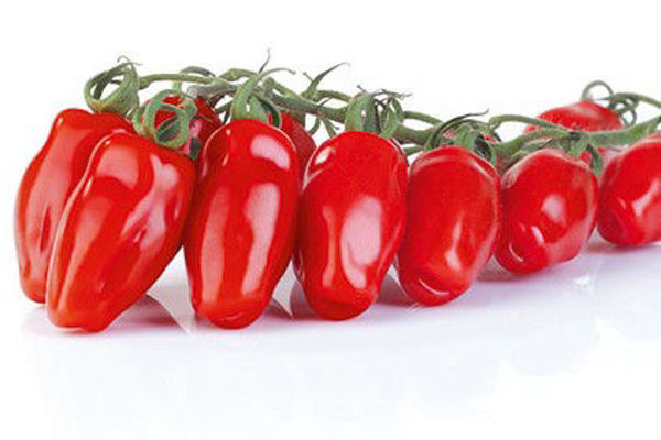 Tomat Premium - San Marzano