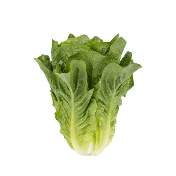 Romansallat