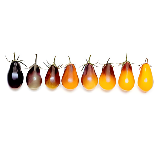 Indigo Pear Drops