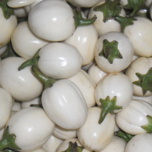 White Egg