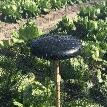Plastic mesh support