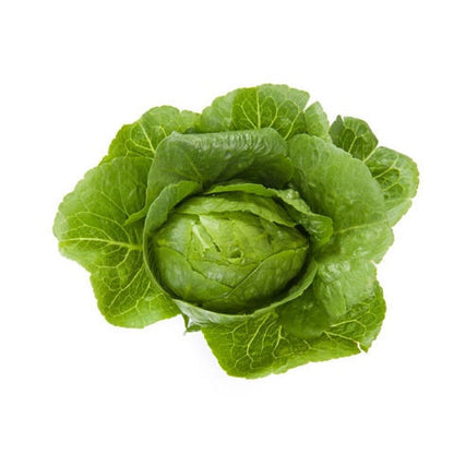 Crunchy Lettuce Chicarita RZ