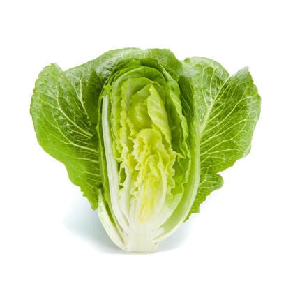 Crunchy Lettuce Chicarita RZ