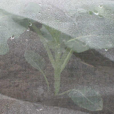 Insect screen 0.6 x 0.6 mm