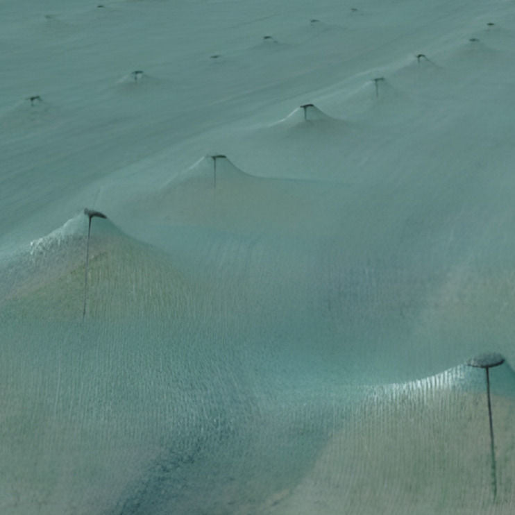 Shade Netting - Seedbed Netting