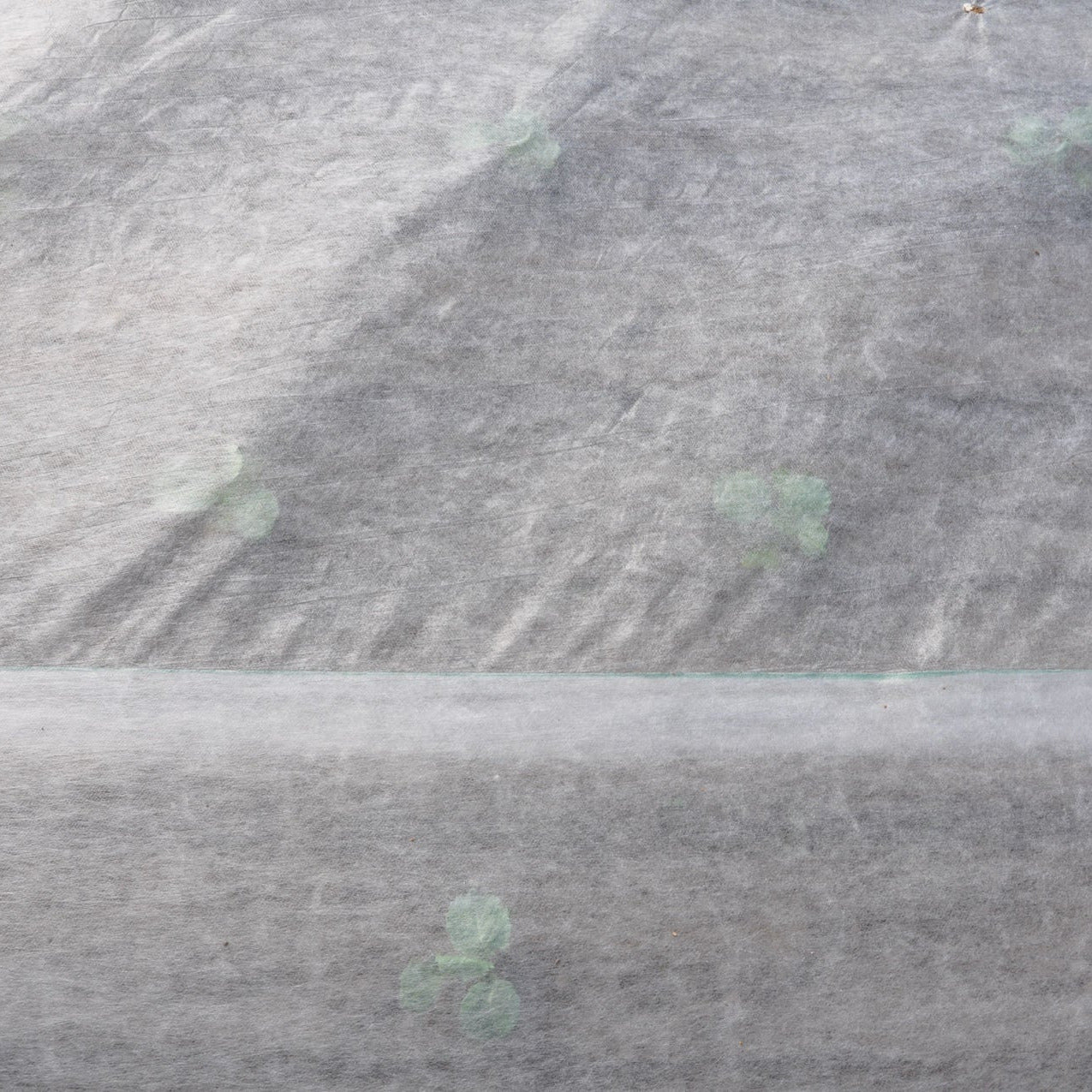 Geotextile