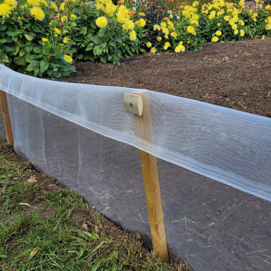Snail net