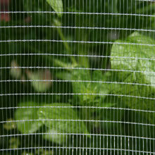 Bird and Hail Net - 2.8mm Mesh Size