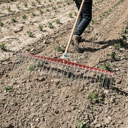 Weeding rake