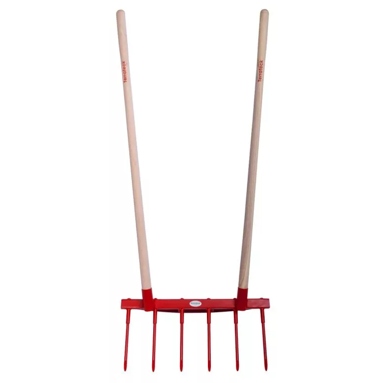 French Broad Axe