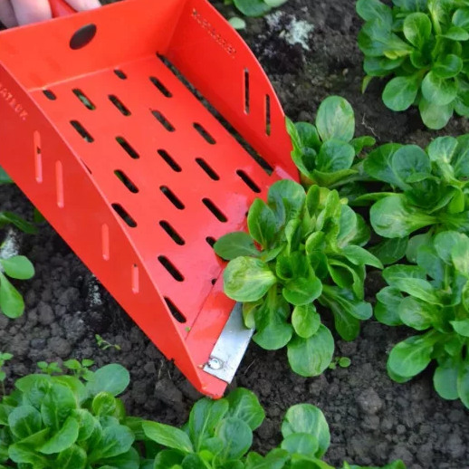 Hand tools for small leaves