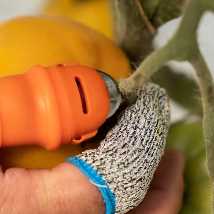 Thumb knife