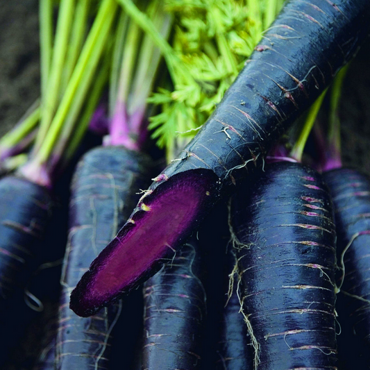 Deep Purple F1