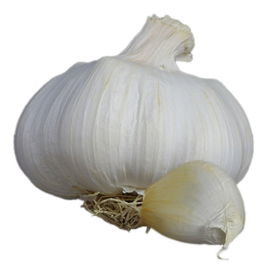 Garlic Aulxito