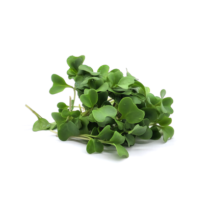 Calabrese Broccoli