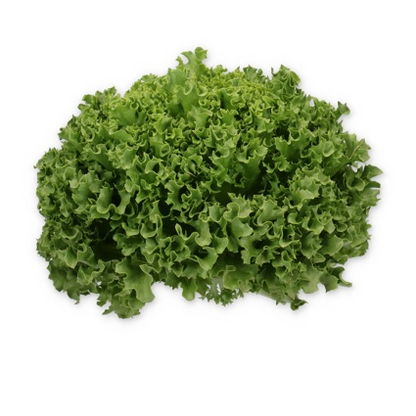 Kristallsallat Hydrolique RZ
