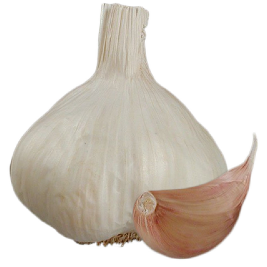 Vitlök Flavor