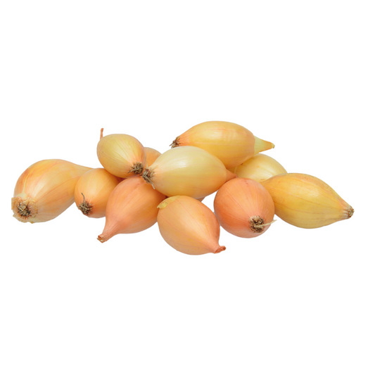 Setton BIO