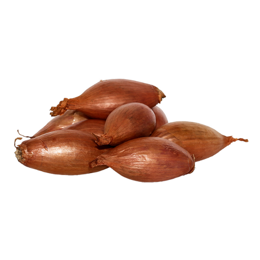 Longor BIO