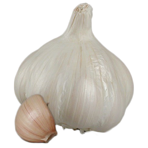 Vitlök Clédor