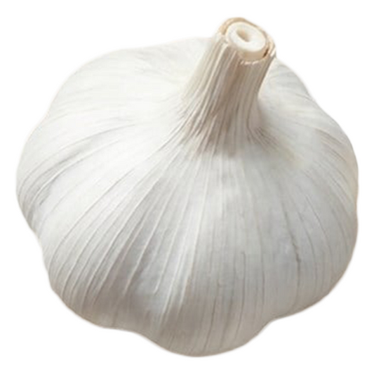 Vitlök Topadrôme