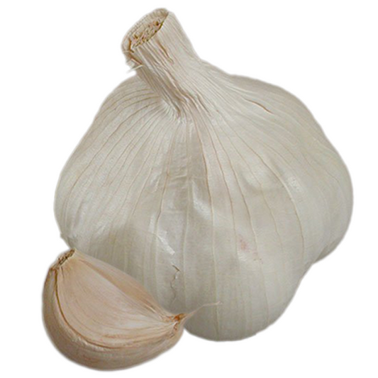 Vitlök Messidrôme