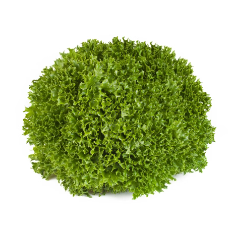 Crisp Salanova Expertise RZ - BIO