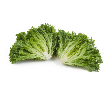 Crisp Salanova Expertise RZ - BIO