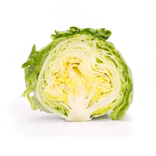 Iceberg Lettuce Jasperinas RZ - BIO