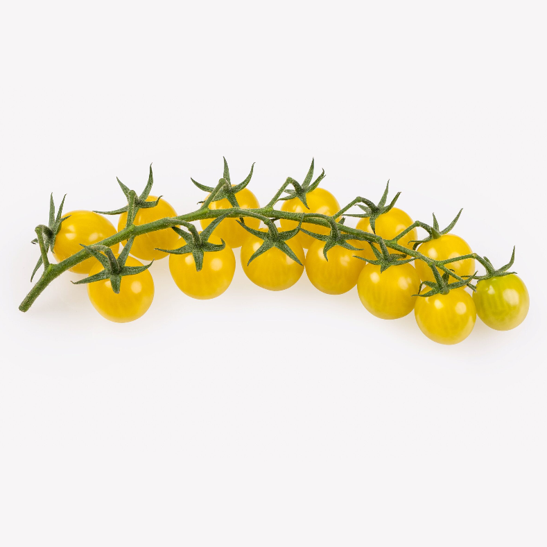 LemonTini F1