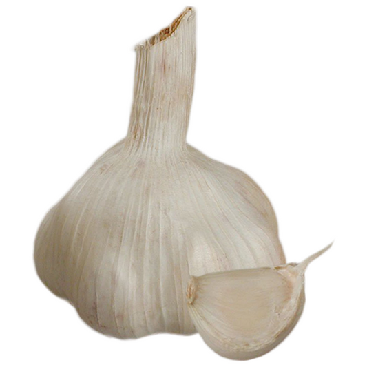 Vitlök Sabadrôme