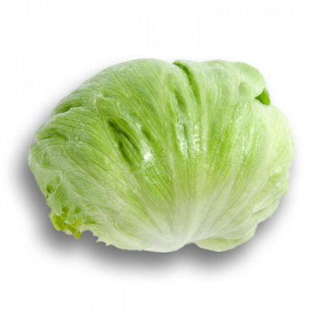 Iceberg lettuce Umbrinas RZ