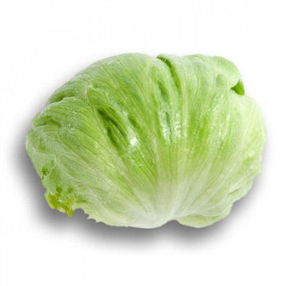 Iceberg lettuce Umbrinas RZ